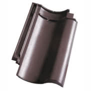 Holenderka E88